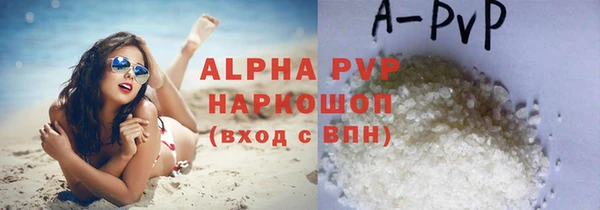 СК Краснослободск