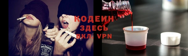 индика Покров