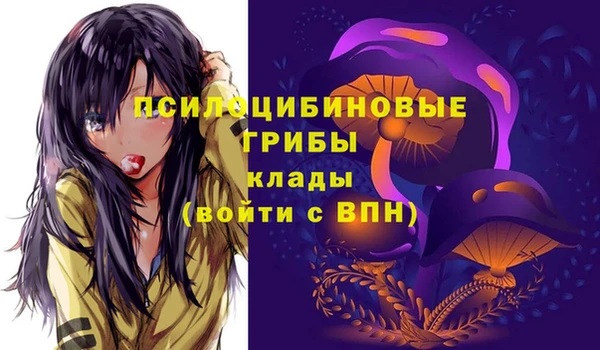 первитин Абинск