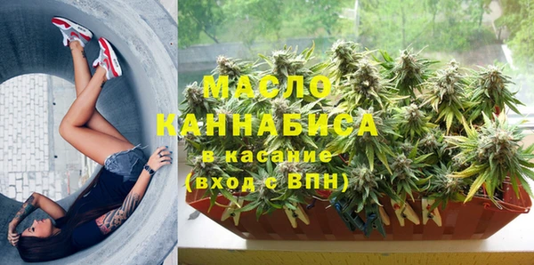 индика Покров